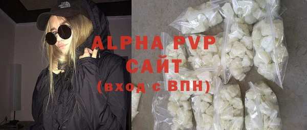 ПСИЛОЦИБИНОВЫЕ ГРИБЫ Богданович