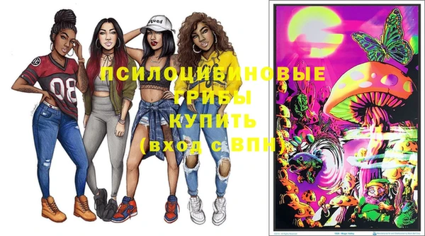 ПСИЛОЦИБИНОВЫЕ ГРИБЫ Богданович