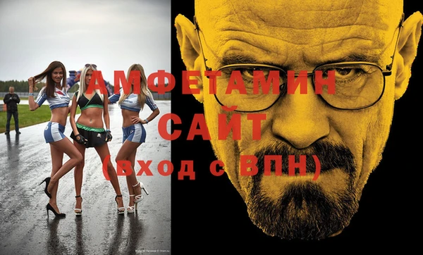 ПСИЛОЦИБИНОВЫЕ ГРИБЫ Богданович