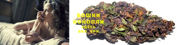 ПСИЛОЦИБИНОВЫЕ ГРИБЫ Богданович
