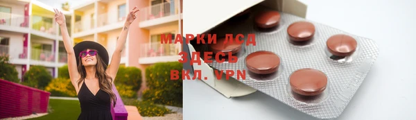 ПСИЛОЦИБИНОВЫЕ ГРИБЫ Богданович