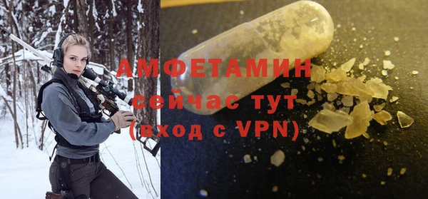 ПСИЛОЦИБИНОВЫЕ ГРИБЫ Богданович